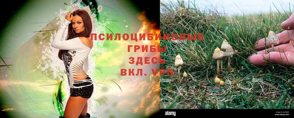 метадон Каменск-Шахтинский