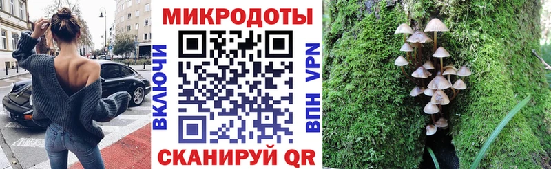 Псилоцибиновые грибы Magic Shrooms  Купить закладки  Белореченск 
